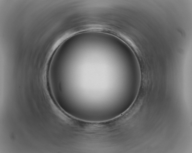 X0000113541475200909181146