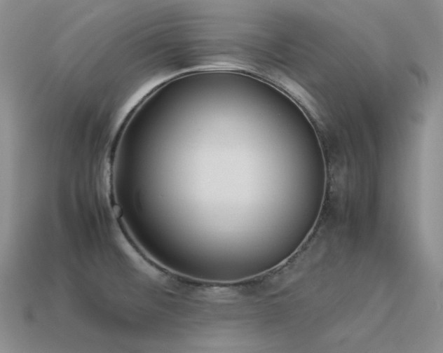X0000113541476200909181146