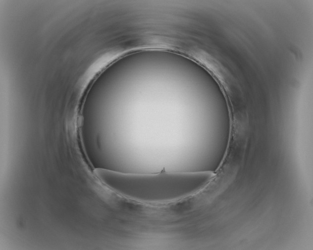 X0000113541477200909181146