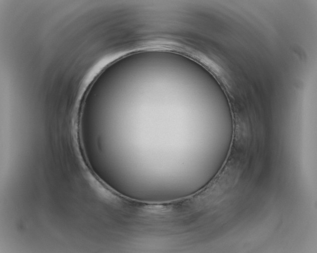 X0000113541478200909181146