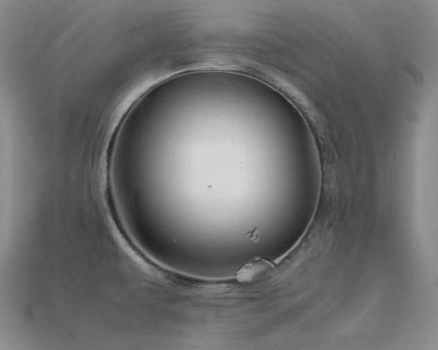 X0000113541479200909181146