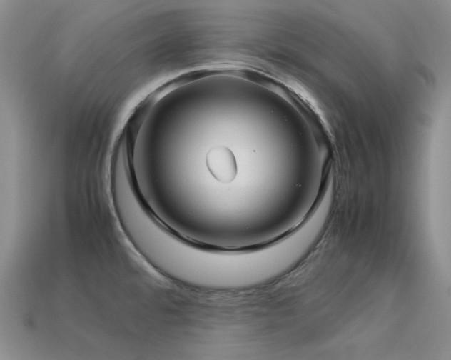 X0000113541480200909181146