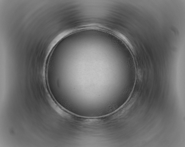 X0000113541482200909181146