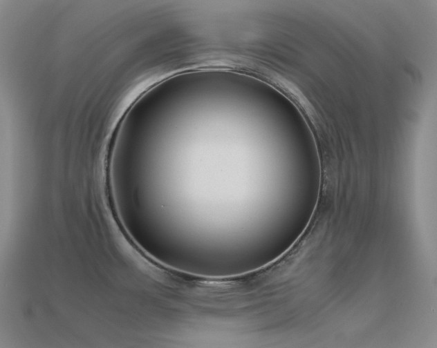 X0000113541483200909181146