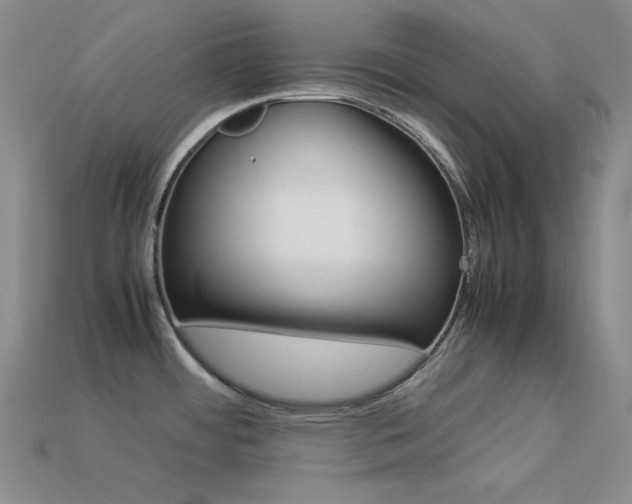 X0000113541484200909181146