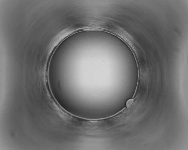 X0000113541485200909181146