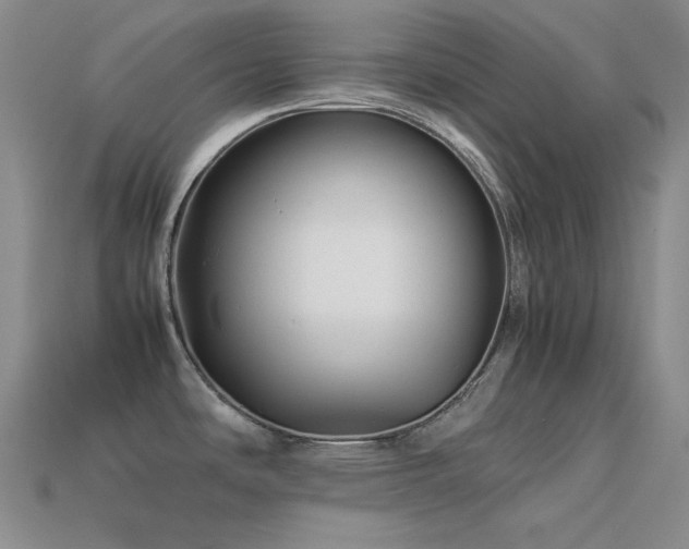 X0000113541486200909181146