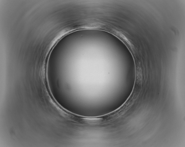 X0000113541487200909181146