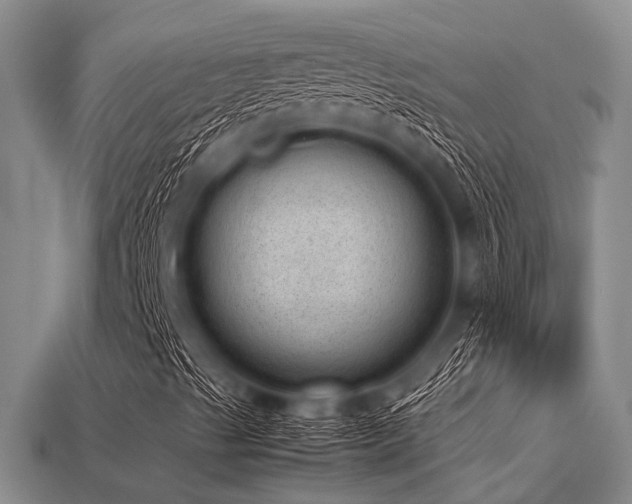 X0000113541489200909181145