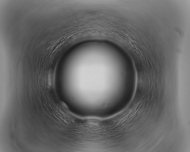 X0000113541490200909181145