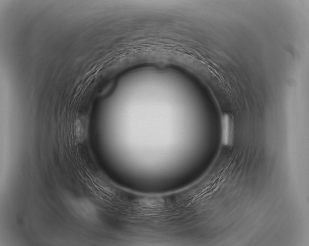 X0000113541491200909181145
