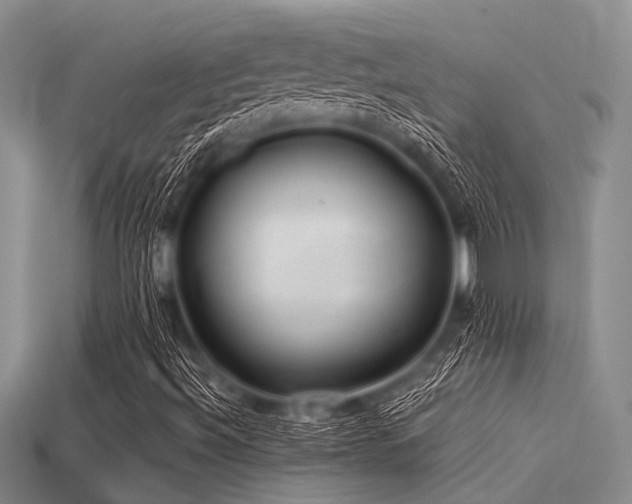 X0000113541492200909181145