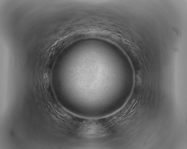 X0000113541493200909181145