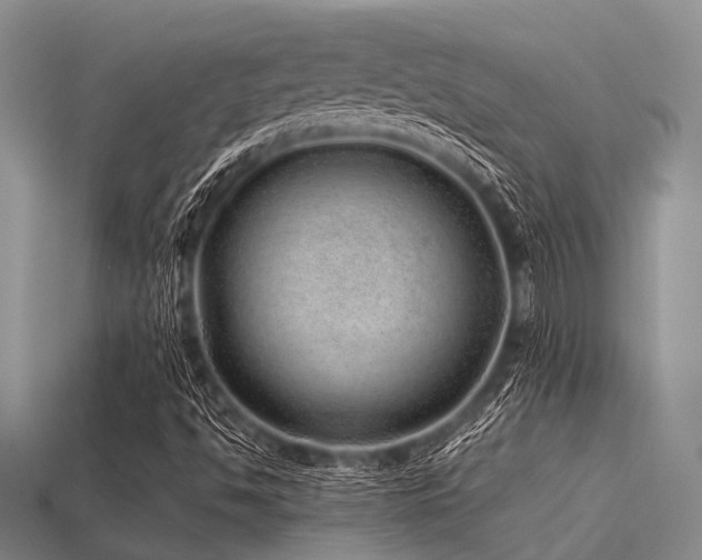 X0000113541494200909181145