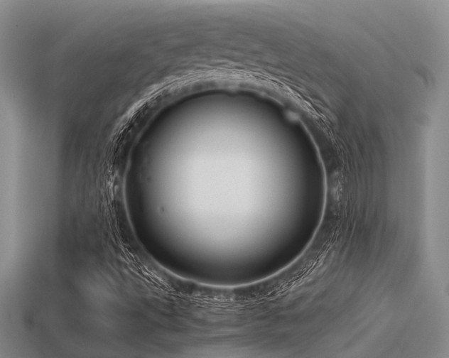 X0000113541495200909181145