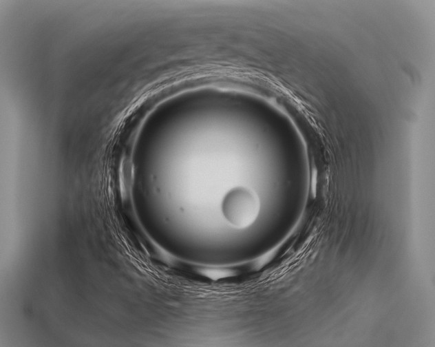 X0000113541496200909181145