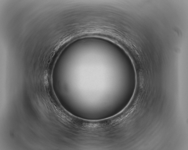 X0000113541497200909181145