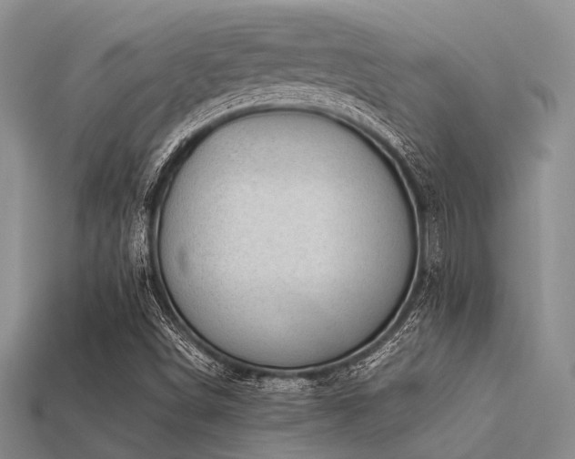 X0000113541498200909181145
