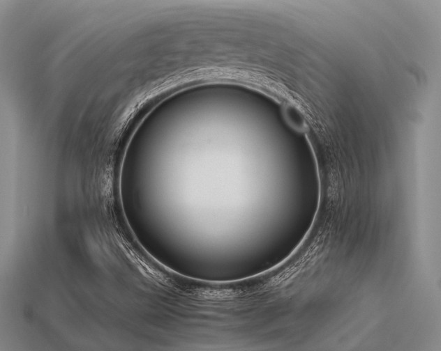 X0000113541499200909181145