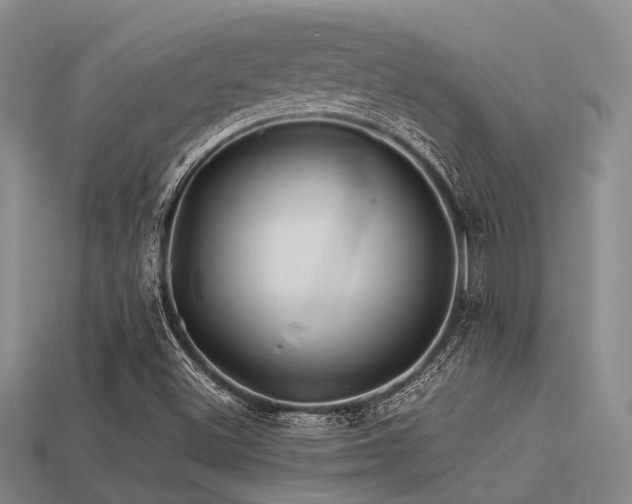 X0000113541500200909181145