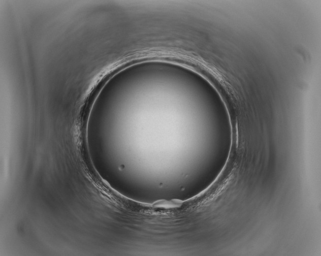 X0000113541501200909181145