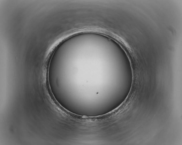 X0000113541504200909181145