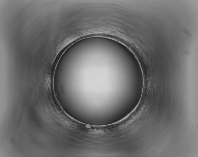 X0000113541505200909181145