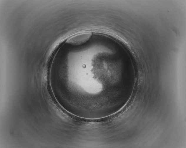 X0000113541506200909181145