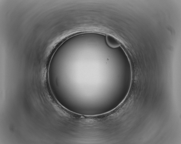 X0000113541507200909181145