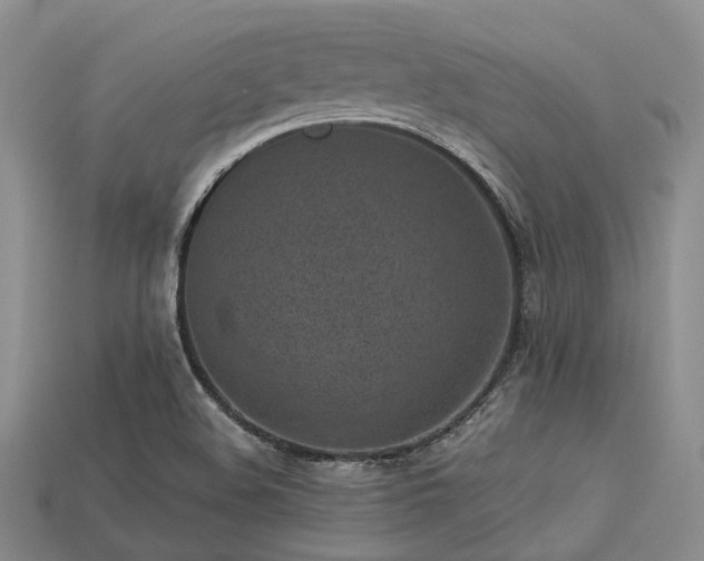 X0000113541508200909181145