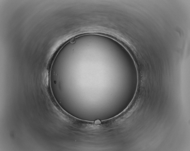 X0000113541509200909181146