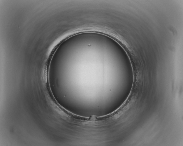 X0000113541510200909181146