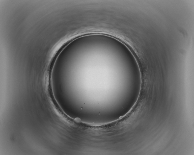 X0000113541511200909181146