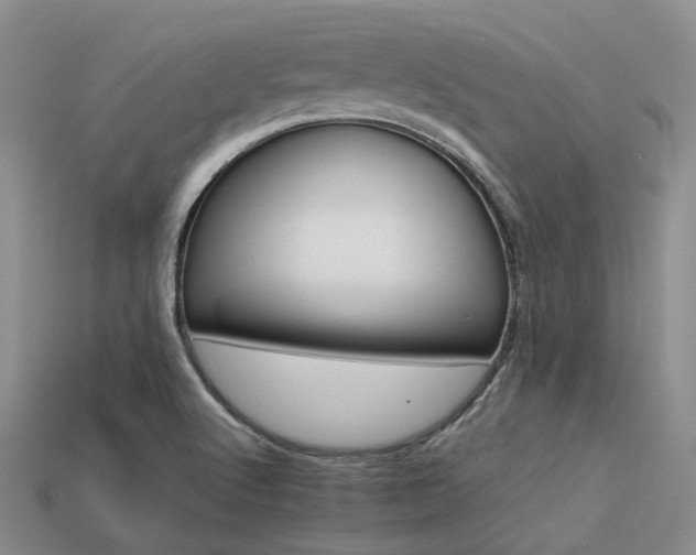 X0000113541512200909181146