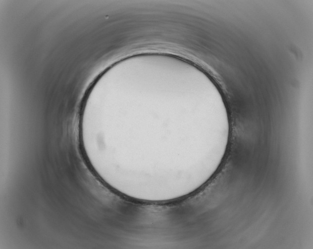 X0000113541514200909181146