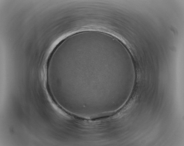 X0000113541515200909181146