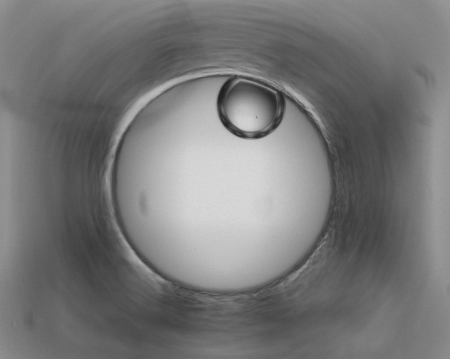 X0000113541516200909181146
