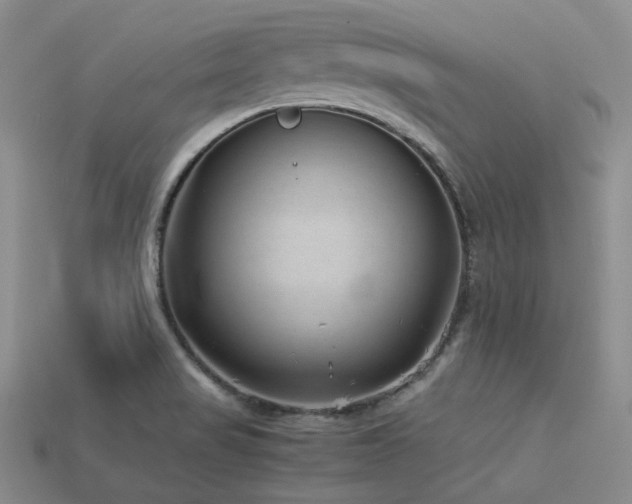 X0000113541517200909181146