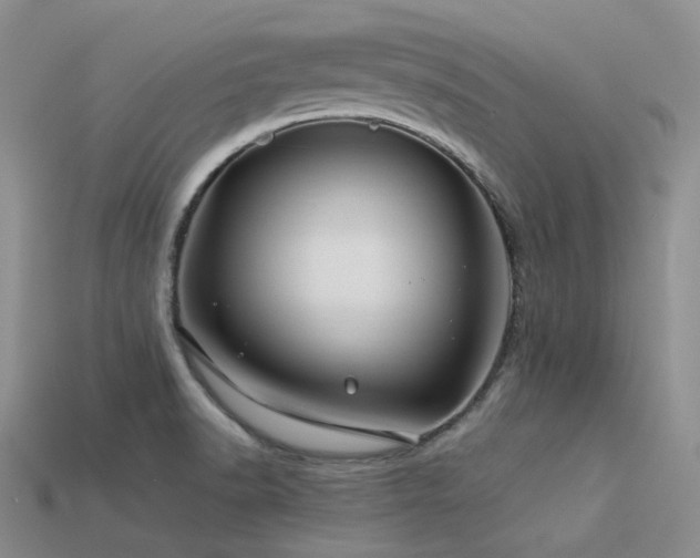 X0000113541518200909181146