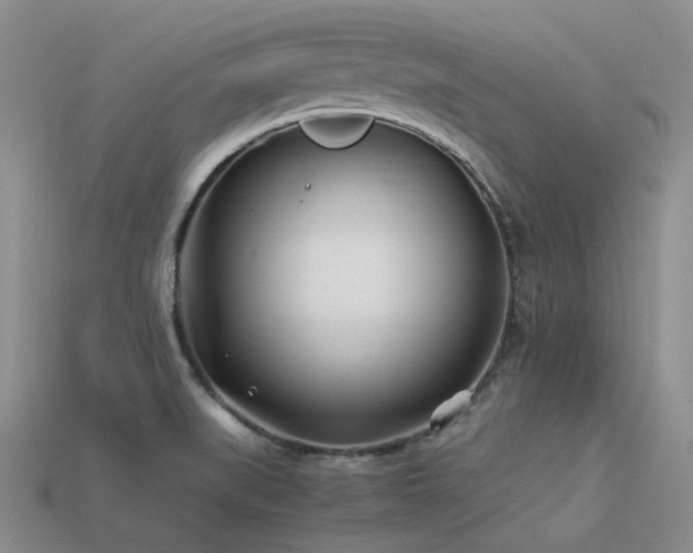 X0000113541519200909181146