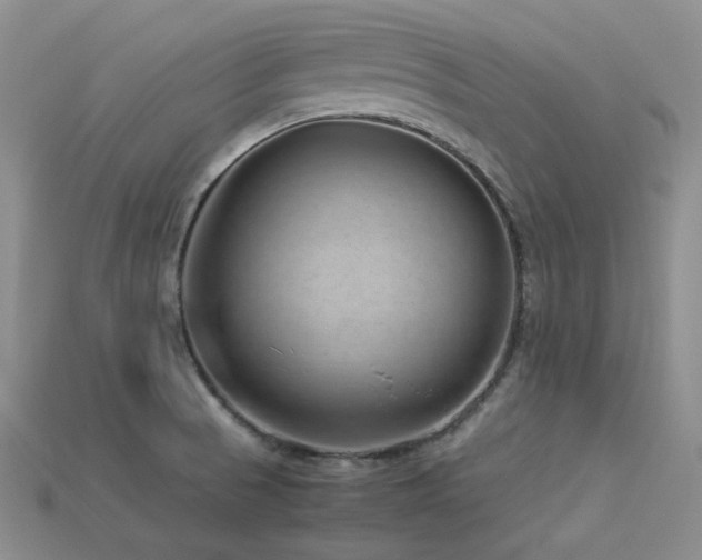 X0000113541521200909181146