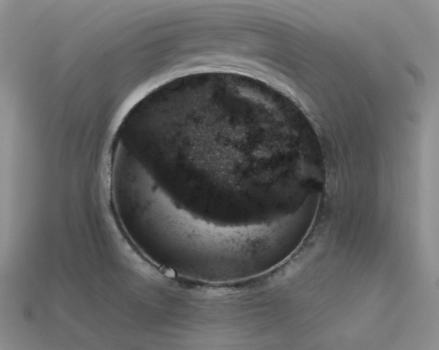 X0000113541522200909181146