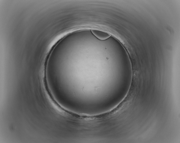 X0000113541523200909181146