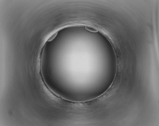 X0000113541524200909181146
