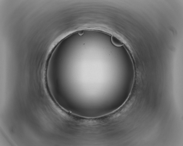X0000113541525200909181146