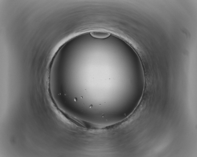 X0000113541526200909181146