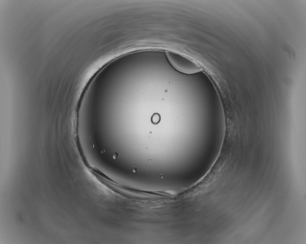 X0000113541527200909181146