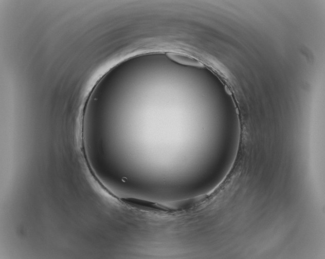X0000113541528200909181146