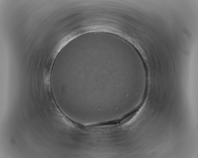 X0000113541529200909181146