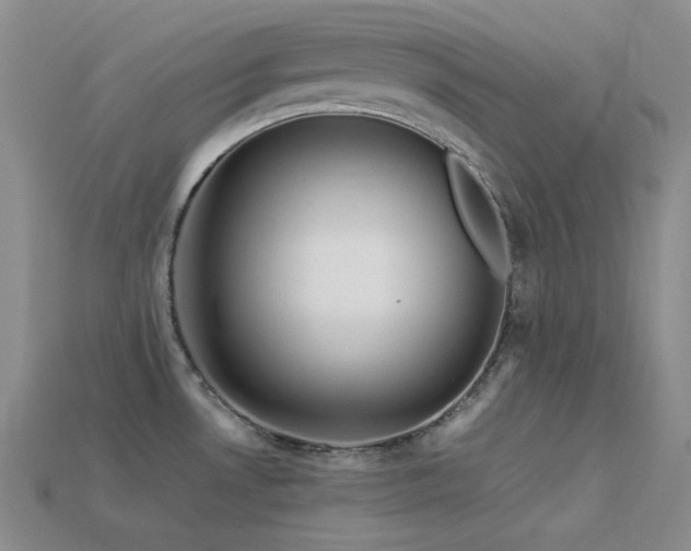 X0000113541530200909181146